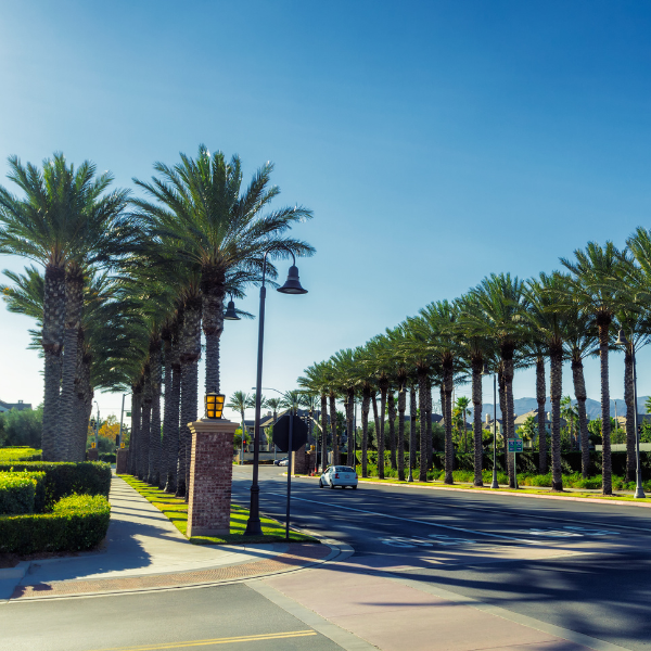 ontario california view palm trees