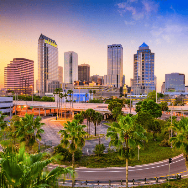 Tampa city view